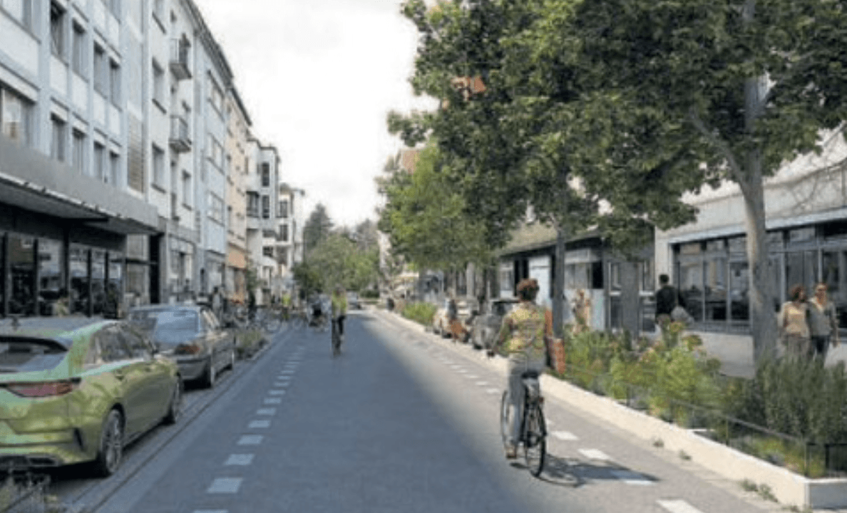 Foto zum Beitrag „Bäume statt Autos für das Luisenviertel“