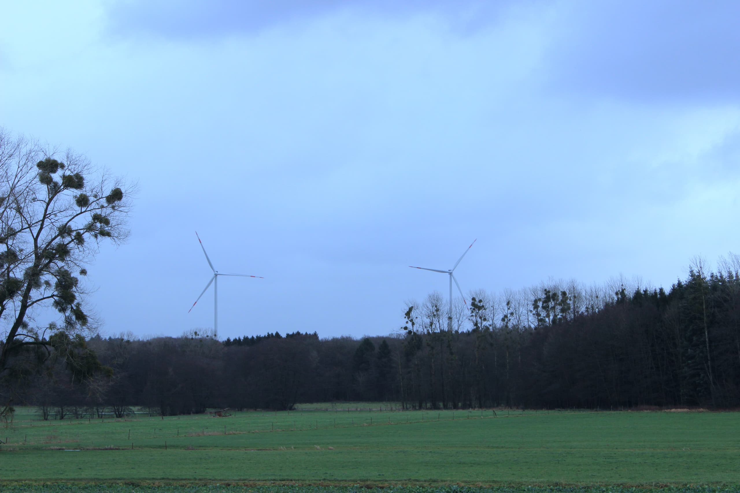 Zwei Windenergieanlagen hinter einem Waldrand unter bewölktem Himmel